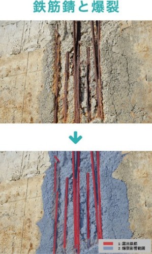 作成した教師データの例。鉄筋錆のあるコンクリート構造物の写真（上）と、さびた鉄筋と爆裂部分を色分け表示した画像がセットになっている（以下の写真、資料：ジャスト）