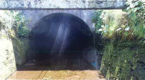 表面に藻類が繁殖する導水路トンネルの例
