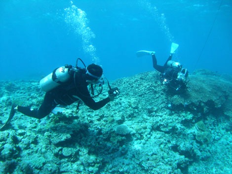 トランシーバーを向け合い、水中で会話する潜水士たち